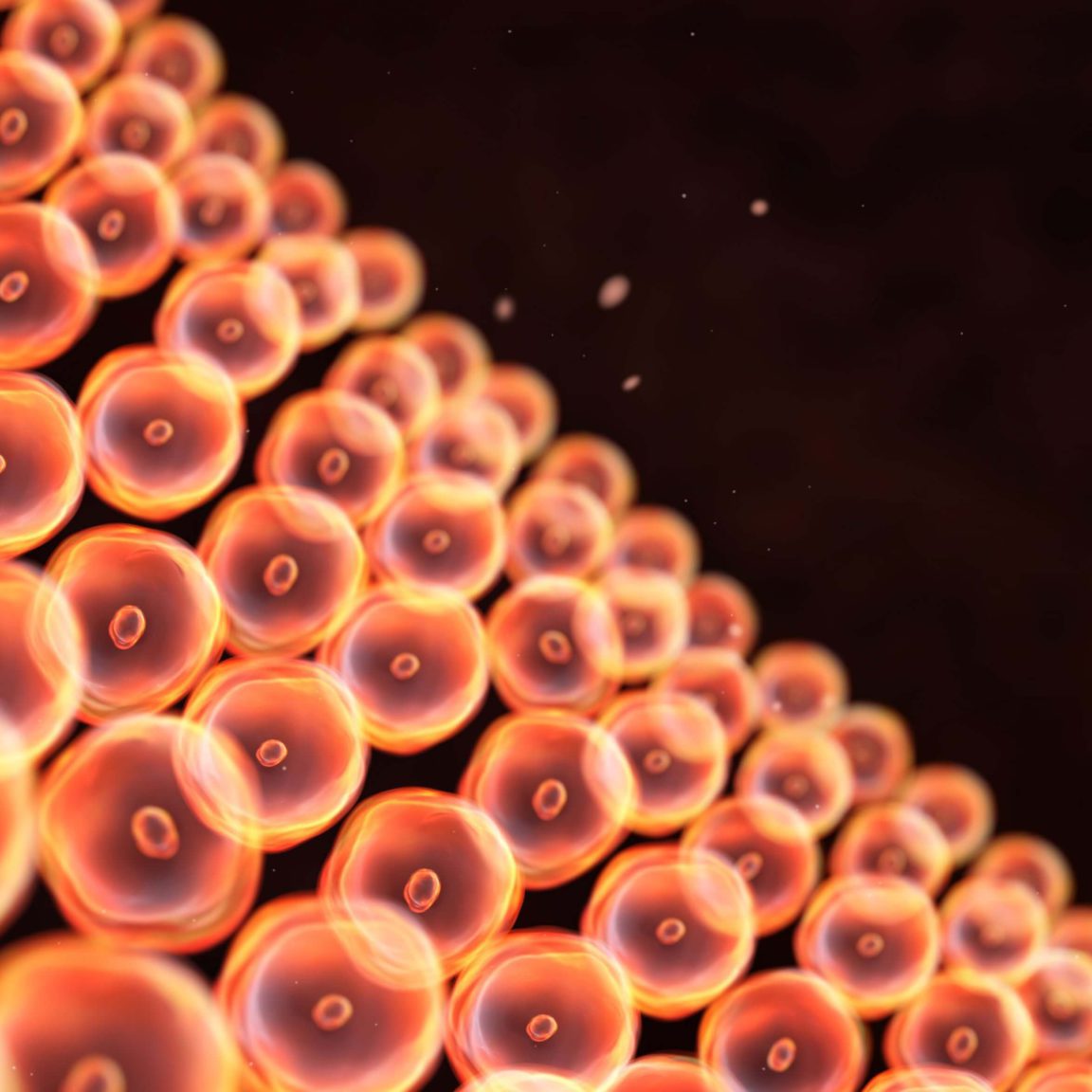 biostimulacion-plaquetas