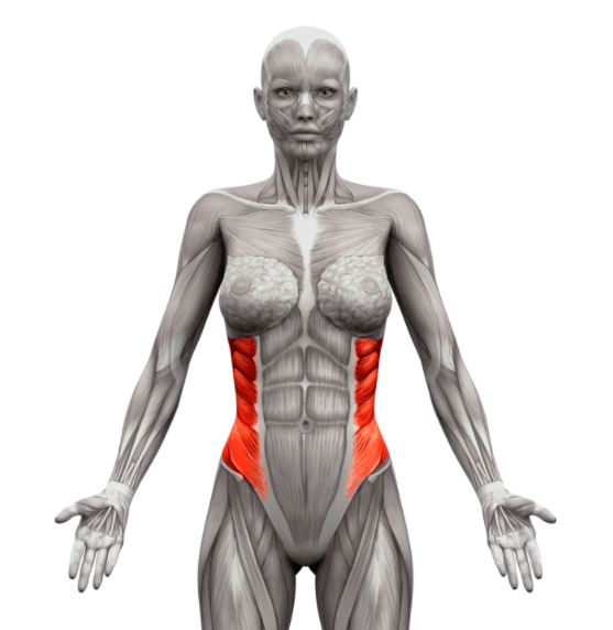 cuerpo-frontal-estetica