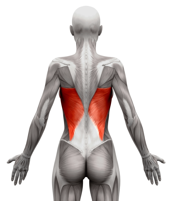 cuerpo-frontal-trasera