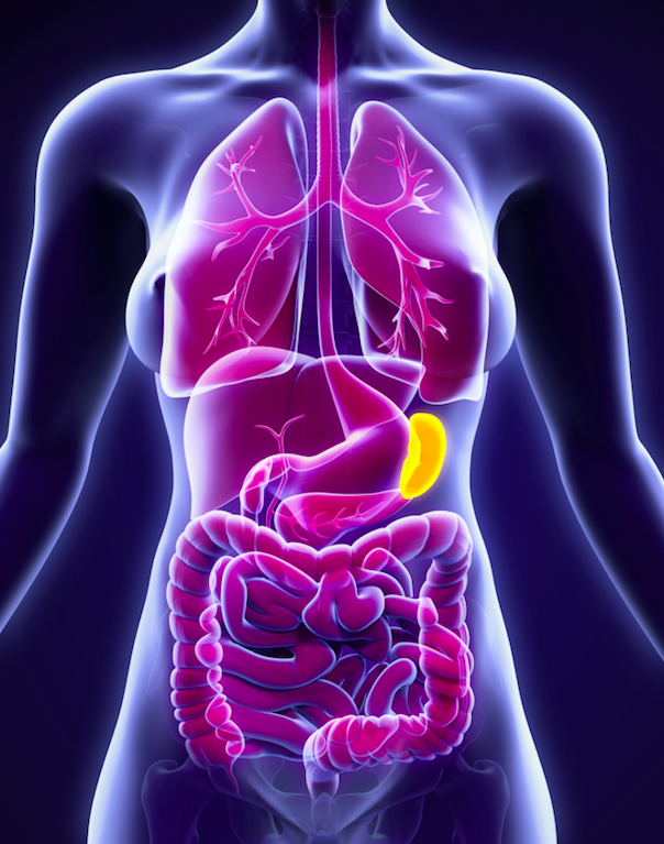 programas medicina predictiva