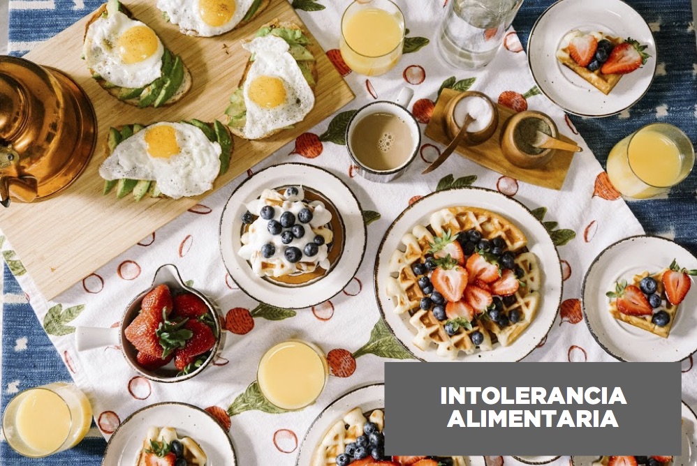 INTOLERANCIA ALIMENTARIA portada 4