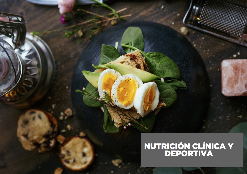 NUTRICIÓN DEPORTIVA portada 1