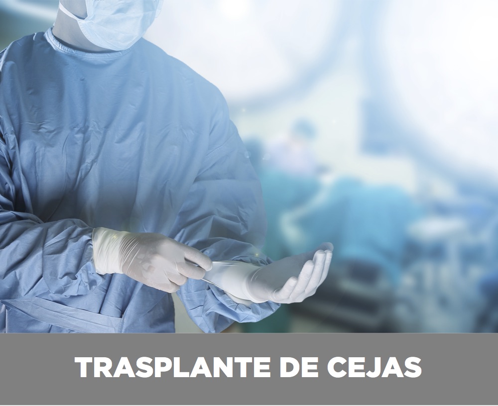 trasplante-cejas-valencia