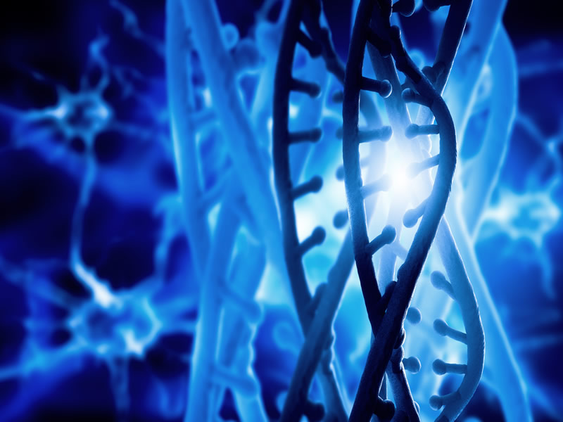 carcinoma basocelular