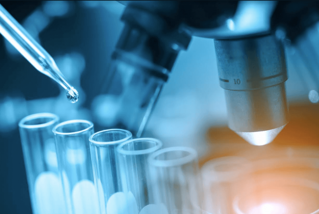 investigacion y desarrollo