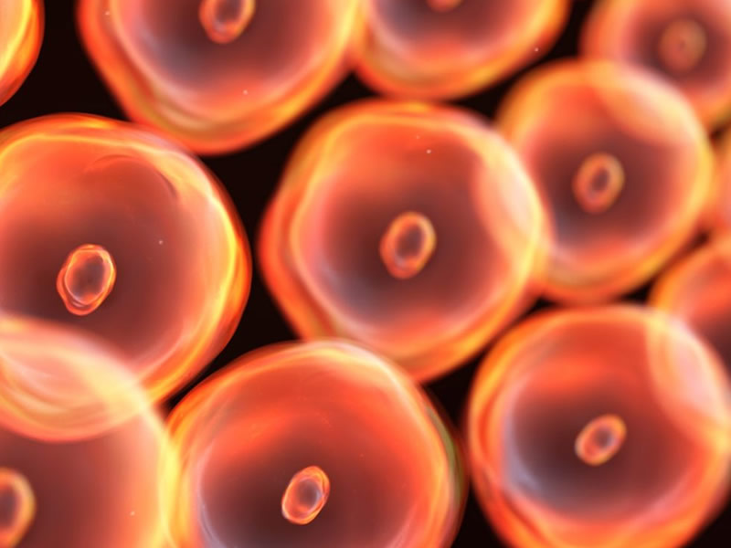 Manejo de heridas complejas