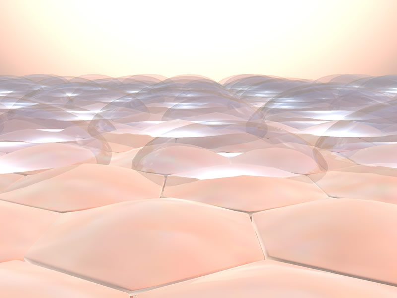 rehabilitación en el paciente quemado